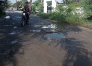 Minim Perhatian, Jalan Indrapura-Tanjung Kubah Kupak-kapik