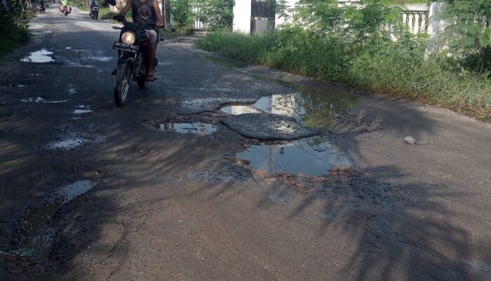 Minim Perhatian, Jalan Indrapura-Tanjung Kubah Kupak-kapik