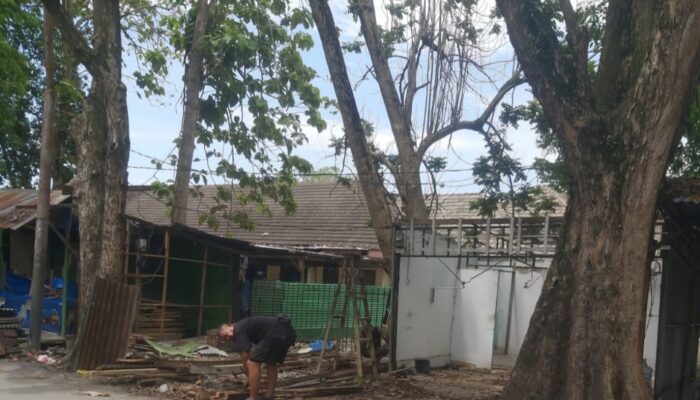 PKL Di P. Brandan Mulai Bongkar Lapak Dagangannya 