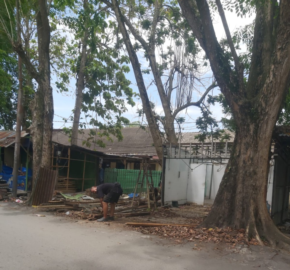 PKL Di P. Brandan Mulai Bongkar Lapak Dagangannya 