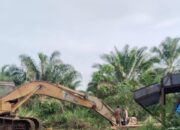 Diduga Ada PETI di Aset BUMD Sumut, Belasan Alat Berat Beroperasi Masif