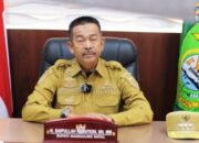 Respons Dugaan PETI di PT PSU, Bupati Madina Akan Koordinasi ke Gubernur