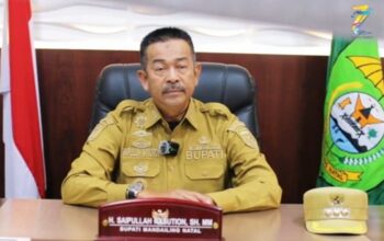 Respons Dugaan PETI di PT PSU, Bupati Madina Akan Koordinasi ke Gubernur