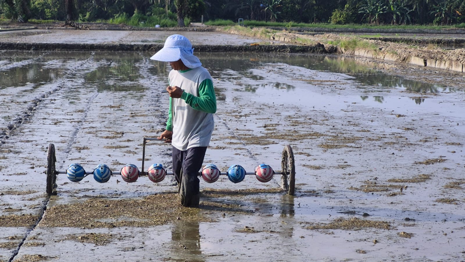 Percepatan Tanam, Petani Di Batu Bara Gunakan Alat Tanam Modifikasi
