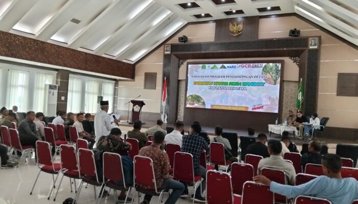 Kakao Dan Kehidupan: Forum Konservasi Leuser Dampingi Petani Aceh Utara