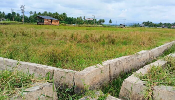Sawah Terbengkalai 5 Bulan Pasca Banjir, Petani Jangka Desak Pemkab Segera Bertindak