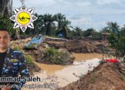 Aset Daerah Jadi Lokasi PETI, Satma AMPI Madina Desak Bongkar Aktor Utama