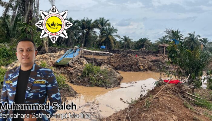 Aset Daerah Jadi Lokasi PETI, Satma AMPI Madina Desak Bongkar Aktor Utama