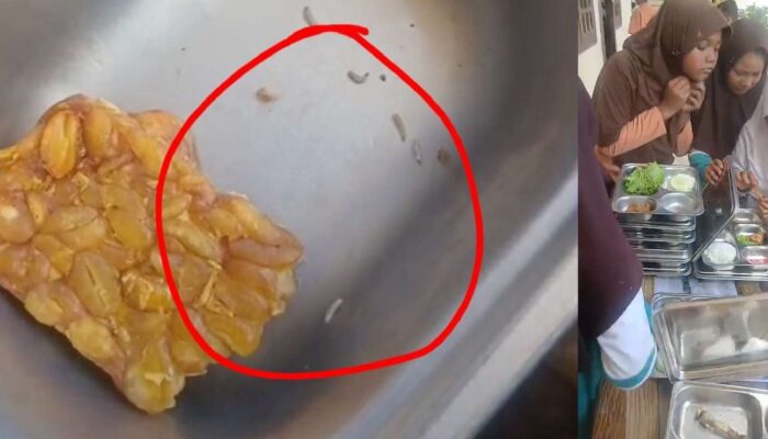 Dinkes Aceh Selatan Benarkan Menu MBG Bercampur Ulat, Korwil BGN Sulit Diajak Koordinasi