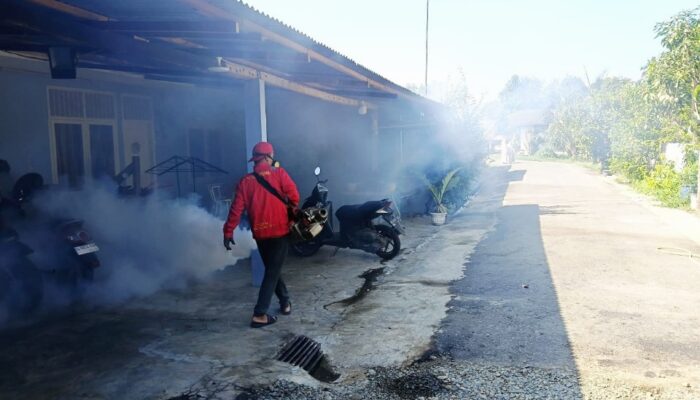 Kasus DBD Ditemukan, Puskesmas Blang Bintang Lakukan Penanganan Hingga Fogging