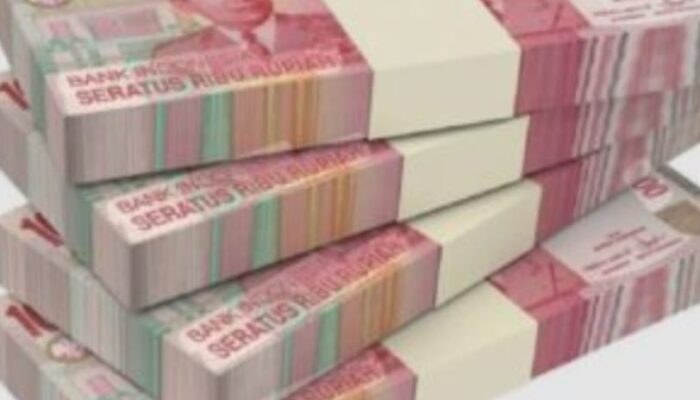 Total Rp129 Miliar Cair, Dua LSM Awasi Penggunaan Dana Desa di 377 Desa Madina