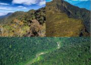 Pendaki Asal Binjai Meninggal di Gunung Leuser, Tim Gabungan Evakuasi