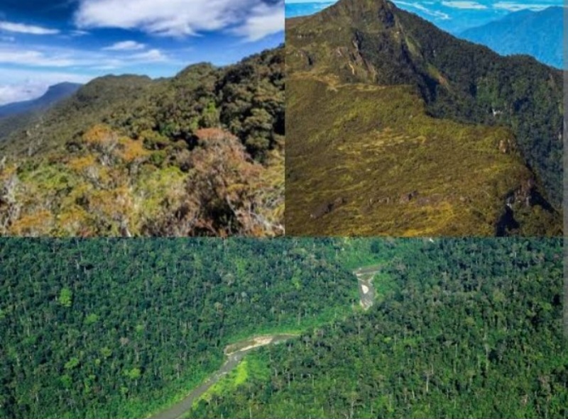 Pendaki Asal Binjai Meninggal di Gunung Leuser, Tim Gabungan Evakuasi