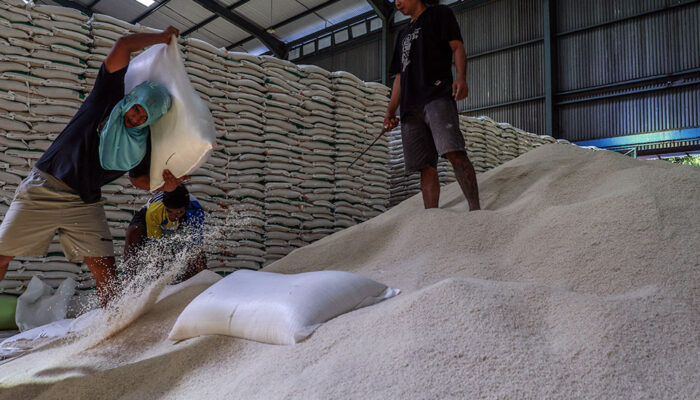 Harga Beras Turun Saat Gabah Naik, Sinyal Tekanan Baru Di Depan Mata